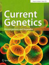 CURRENT GENETICS杂志封面